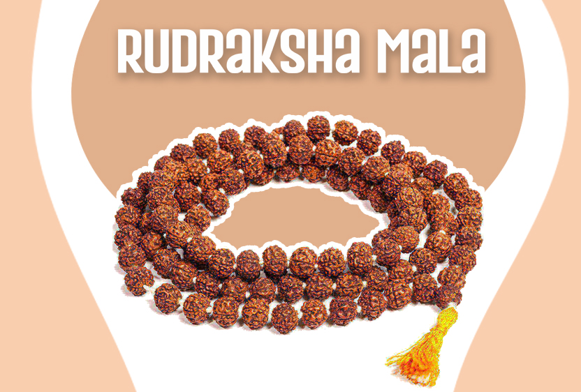Rudraksha Mala (108+1 Beads, Bead Size: 12 mm each)